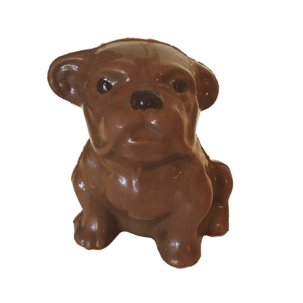 Chocolate Bulldog - Nandy's CandyChocolate Bulldog