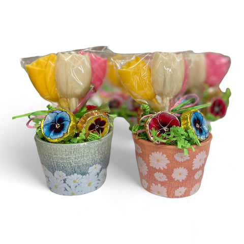 Tulip 🌷 Pots - Nandy's CandyTulip 🌷 Pots