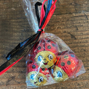 Foil wrapped chocolate ladybugs - Nandy's CandyFoil wrapped chocolate ladybugs