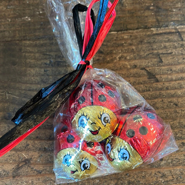 Foil wrapped chocolate ladybugs - Nandy's CandyFoil wrapped chocolate ladybugs