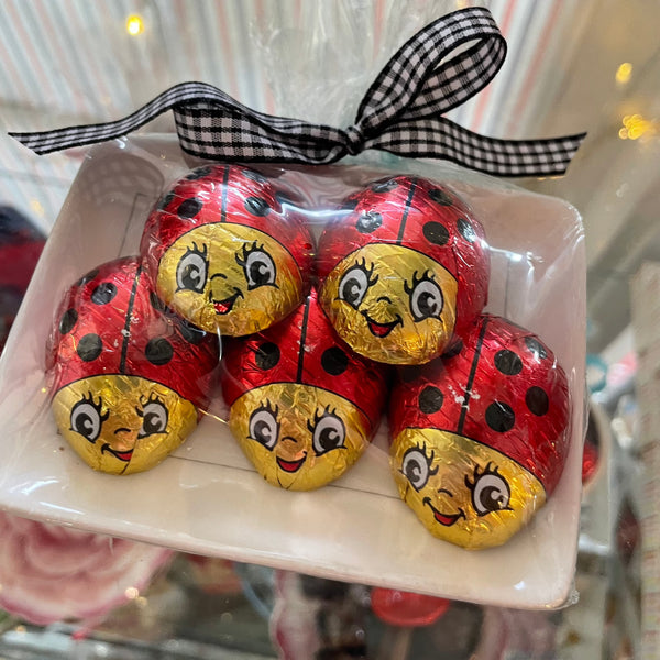 5 Foil Wrapped chocolate lady bugs 